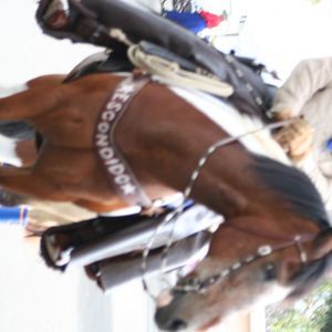 Meet your Posher, Al